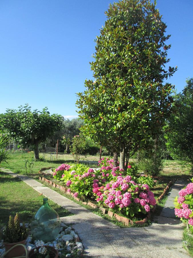 Bed and Breakfast Spineola à Spinetoli Extérieur photo